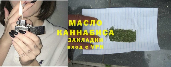 дживик Верхний Тагил