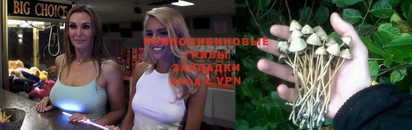 сатива Волоколамск