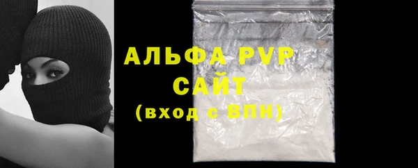 сатива Волоколамск
