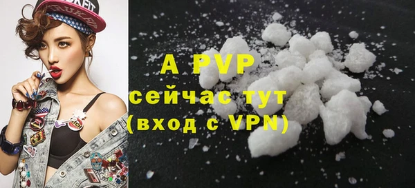 сатива Волоколамск